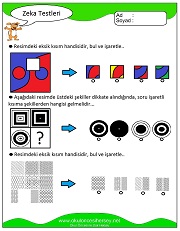 Zeka Gelişim Testleri